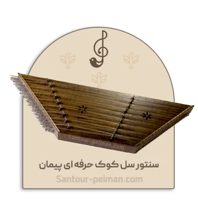 سنتور سل کوک حرفه ای